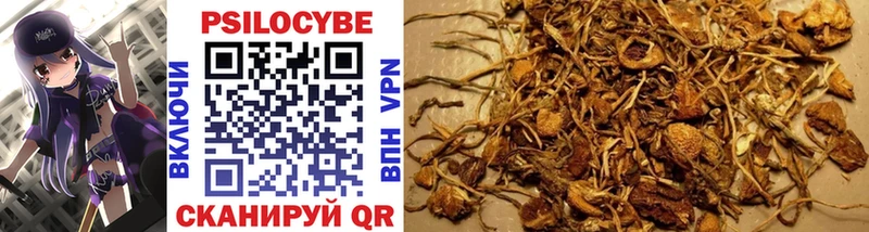 мега онион  нарко площадка Telegram  Псилоцибиновые грибы Psilocybine cubensis  купить  цена  Тольятти 